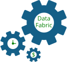 Data Fabric om,proves efficiency and reduces costs